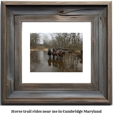 horse trail rides near me in Cambridge, Maryland